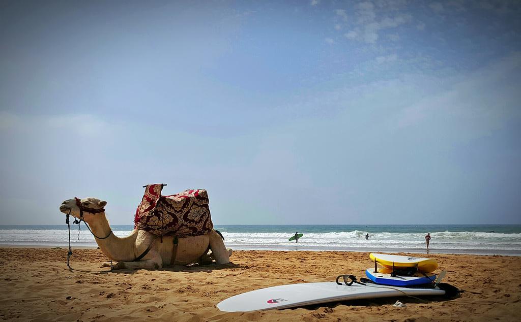 Zen Surf Beach House Aourir Ngoại thất bức ảnh