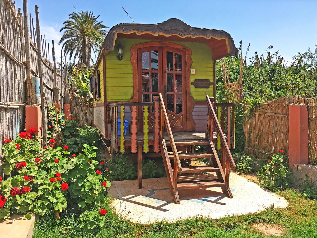 Zen Surf Beach House Aourir Ngoại thất bức ảnh